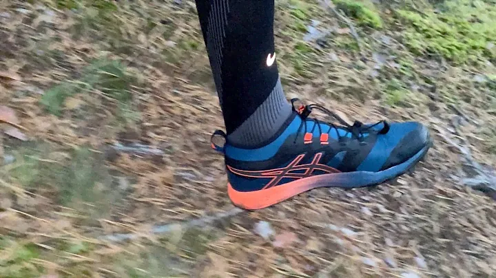 Asics FujiTrabuco pro - лучшие кроссовки 2020 2021 года для трейла, полумарафона, Asics Dynaflyte 3
